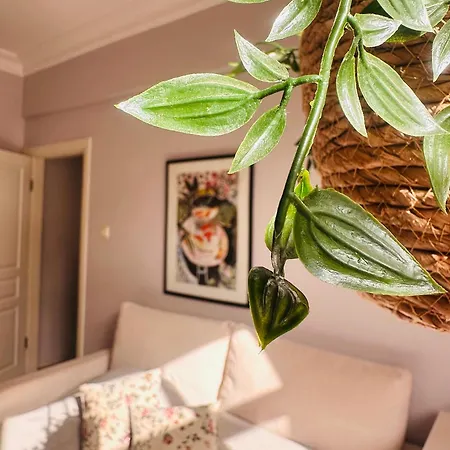 In The Hearth Of City, Seaview. Apartamento